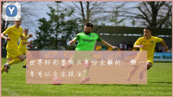 世界杯彩票购买年份全解析:哪一年可以合法投注?